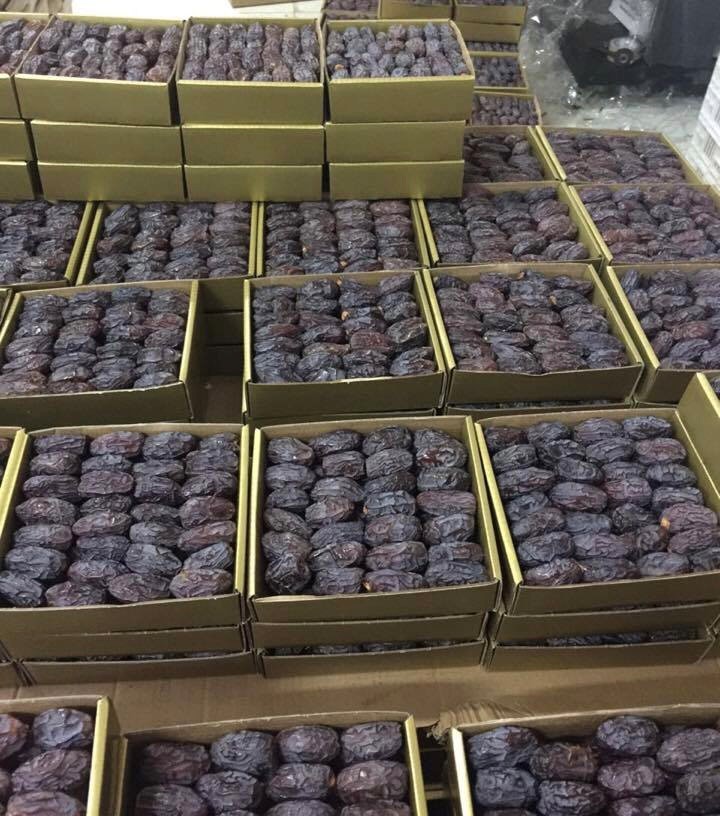 Medjool Dates